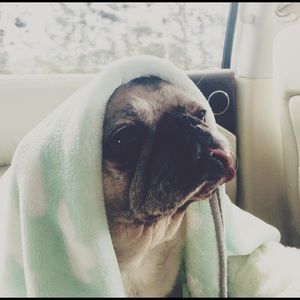 Meet your Posher, Emily